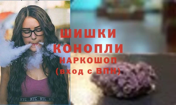 дурь Пересвет