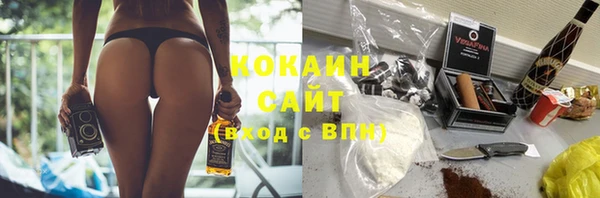 трава Абаза