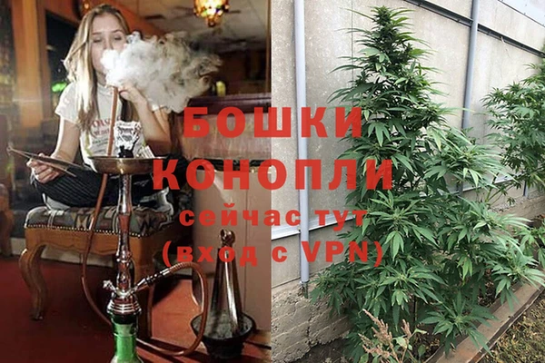трава Абаза