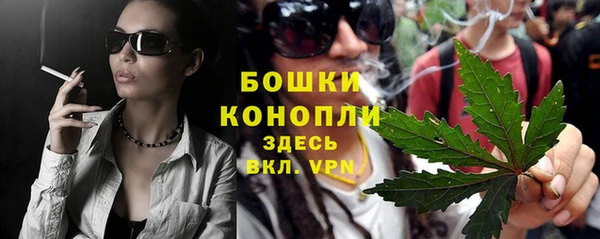 трава Абаза