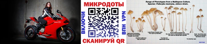 Псилоцибиновые грибы MAGIC MUSHROOMS  Избербаш 
